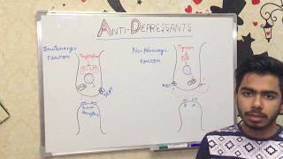 BASICS OF ANTIDEPRESSANTS [upl. by Friedlander225]