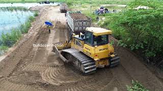 The most skilled dozer operator of flooded forest easily using SHANTUI Dozer amp SHACMAN Truck [upl. by Yk399]