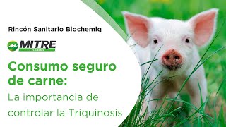 Carnes sin riesgo El llamado urgente para prevenir la Triquinosis [upl. by Sipple25]