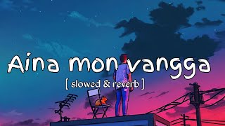 Aina monvanggaainabanglasong  slowed amp reverb [upl. by Aneehsit]