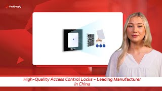 HighQuality Access Control Locks  Leading Manufacturer in China [upl. by Lore]