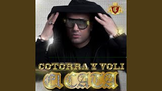 Cotorra Y Voli feat Pitbull [upl. by Uziel]