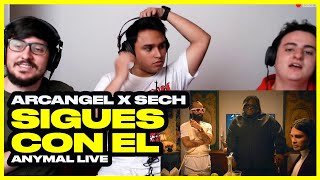 Reacción Arcangel x Sech  Sigues Con Él Official Video  ANYMAL LIVE 🔴 [upl. by Eissert185]