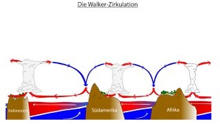 Erdkundeanimationen für Lehrer Die WalkerZirkulation [upl. by Amesari]