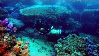 Currarong Diving  Lobster Bay and the Small Bomie Oct 2017 [upl. by Ethelin71]