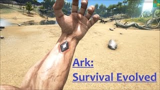 Ark Survival Evolved Solo Part 5 Mortar And Pestle [upl. by Stier103]