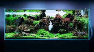 240L EPIC JAPANESE AQUASCAPE AT GREEN AQUA  4K CINEMATIC [upl. by Day]