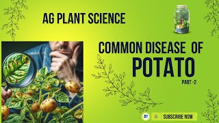 DISEASE OF POTATO IN LEAF types [upl. by Eural539]