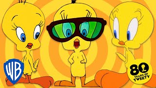 Looney Tunes  2022 The Year of Tweety 💛  WB Kids [upl. by Purpura]