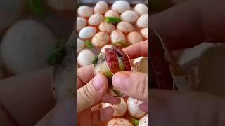 Fertilized egg amazingfacts food [upl. by Neelloj]