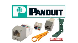 COMO PONCHAR JACK PANDUIT CAT6 PANNETCJ688TPIG [upl. by Buhler537]