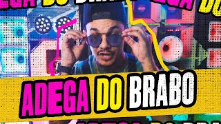 MAURO LIMA ADEGA  VIDEO CLIPE  AGÊNCIA FLY [upl. by Yadsendew21]