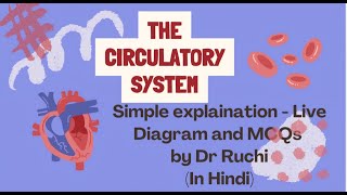 Circulatory System  Heart with diagram in Hindi [upl. by Dempsey275]