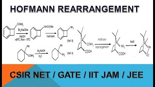 HOFMANN REARRANGEMENT COMPLETE CONCEPT FOR CSIR NETGATEIIT JAMJEE [upl. by Platt]