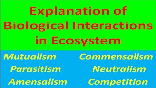 Explanation of Biological Interactions in Ecosystem [upl. by Brunella]