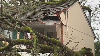 Large tree falls on Beaverton apartment traps 2 [upl. by Aniratac952]