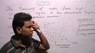 OSMOSISHypotonicIsotonicHypertonic [upl. by Noteek541]