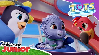 TOTS  ⛅ All Aboard the Porcupine Train…CHOO CHOO  Disney Junior Arabia [upl. by Yddet]