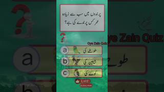 Oye Zain Quiz 💯 parinda zainquiz islamicreels generalknowledge gk typ [upl. by Eadahc]