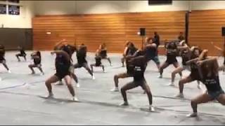 Silver Starlets Walk Through Routine [upl. by Llerruj]