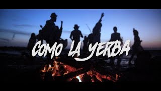 El Canijo de Jerez con La Mari  COMO LA YERBA  Videoclip Oficial [upl. by Idnas]