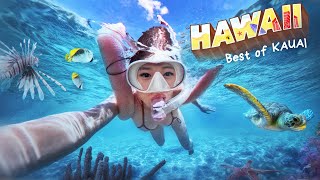 KAUAI HAWAII ISLAND life helicopter tour🚁 snorkelling🐢 HIDDEN beaches what I eat and more✨ [upl. by Aloin]