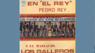 Mariachi Los Galleros de Pedro Rey Grande Grande Grande [upl. by Akilam177]