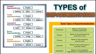 Different Types of Departmentation [upl. by Aisetal]