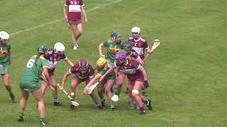 Feis Cup Senior camogie final 2024 [upl. by Frisse]