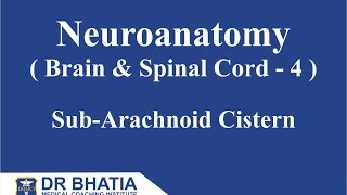 Neuroanatomy Brain amp Spinal Cord  4 Sub Arachnoid Cisterns [upl. by Damali]