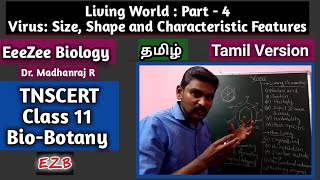 Virus  Size Shape and Characteristic Features  Living World Part4  BioBotany  TNSCERT Tamil [upl. by Laicram]