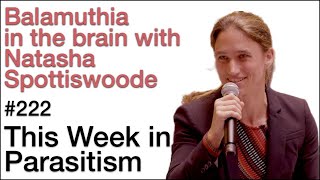 TWiP 222 Balamuthia in the brain with Natasha Spottiswoode [upl. by Kera264]