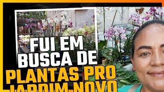 fui numa floricultura em busca de plantas pro novo jardim 🏡😍🙏vem comigo [upl. by Estrin]