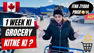 GROCERY PRICES IN 2024😳😰 WEEKLY GROCERY EXPENSES OF AN INTERNATIONAL STUDENT IN CANADA🇨🇦 Walmart [upl. by Enelyw]