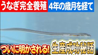 ウナギの未来を守る：新日本科学の挑戦と完全養殖の進化 日本財団 海と日本PROJECT in 鹿児島 2023 015 [upl. by Malloy]