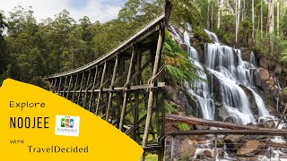 Explore Noojee  Trestle Bridge amp Tooronga Falls [upl. by Rekrap585]