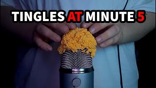 ASMR YOU WILL TINGLE AT MINUTE 5 ⭐  NO Talking ASMR [upl. by Zabrine74]