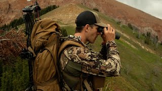 BATTLE OF THE BINOCULARS 10X42 VERSUS 12X50 ARGALI FIELD NOTES [upl. by Dierdre661]