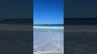 Beach Waves Ambience  Ocean Sounds relaxingvideos stressrelief ocean waves [upl. by Ennaehr]