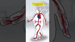 Raise Your Hemoglobin Levels health healthtips [upl. by Treb]