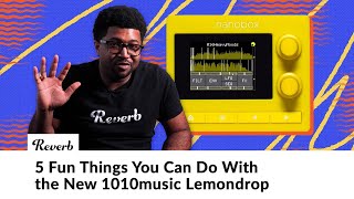 1010music Nanobox Lemondrop 5 Cool Things About This Tiny Granular Synthesizer [upl. by Luedtke]