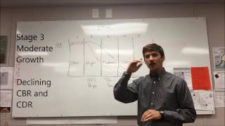 Demographic Transition Model Review [upl. by Gleason]