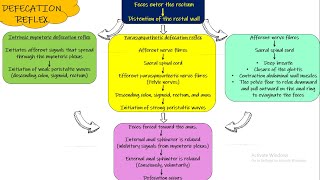 Defecation Reflex Chapter 64 part 10 Guyton and Hall Physiology [upl. by Cesya843]