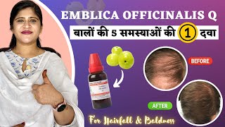 One Homeopathic medicine for 5 Hair Problems  आँवला से बनी दवा  Emblica Officinalis Q [upl. by Raama528]