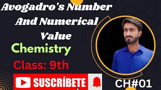 Avogadros Number  Its Numerical Value  Examples  Ch01  Class 9th Chemistry [upl. by Inoue]