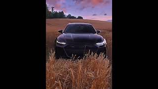 Prince of Egypt  cars I edited foryou automobile youtubeshorts [upl. by Giarg]