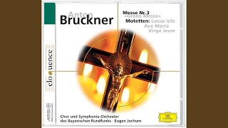 Bruckner Virga Jesse Motet  WAB 52 [upl. by Ettore]