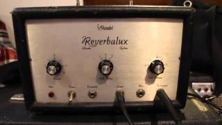 Standel Reverbalux Adineko Oil Can Reverb delay [upl. by Modesty507]