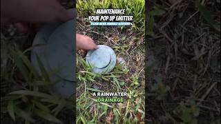 Pop Up Emitter Maintenance  Yard Drainage  Storm Water Drainage Solutions  Tampa Florida [upl. by Grier]