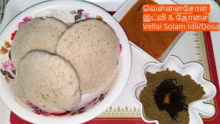 வெள்ளை சோளம் இட்லிஈசியாக மாவு அரைக்கும் முறைVery Easy Grinding MethodVellai Solam IdliDosa [upl. by Esinert]